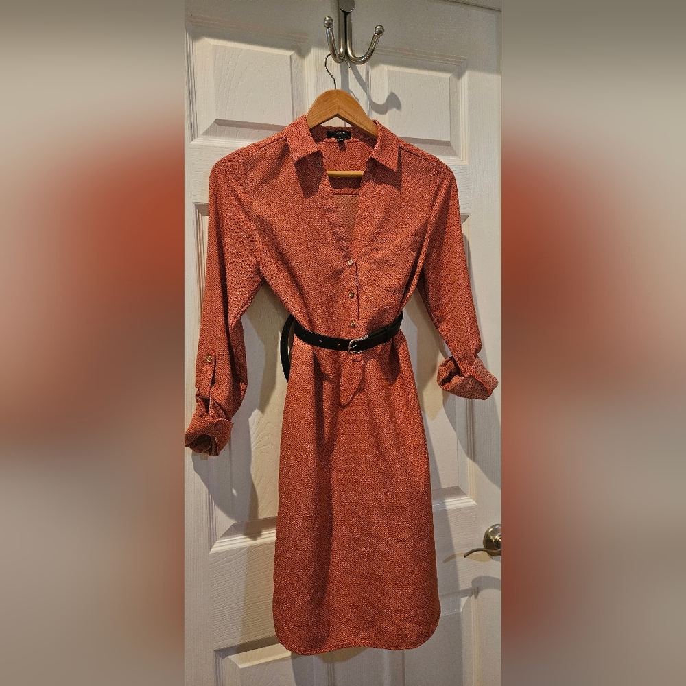 The Limited Rust Long Sleeve Dress